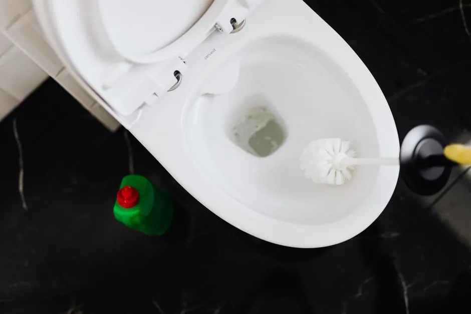 How to replace a toilet flapper inside the toilet tank